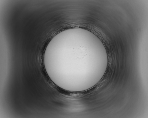 X0000100340414200806051229