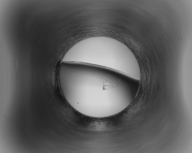 X0000100340416200806051229
