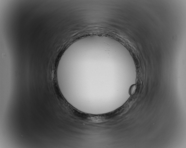 X0000100340417200806051229