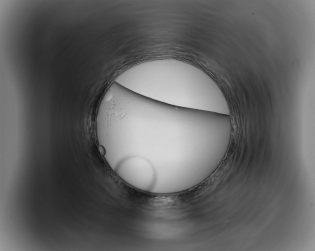 X0000100340418200806051229