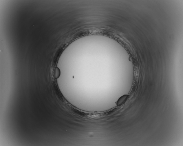 X0000100340419200806051229