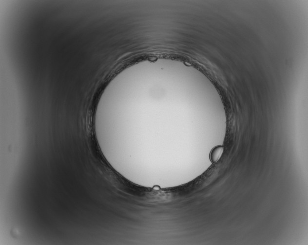 X0000100340421200806051229