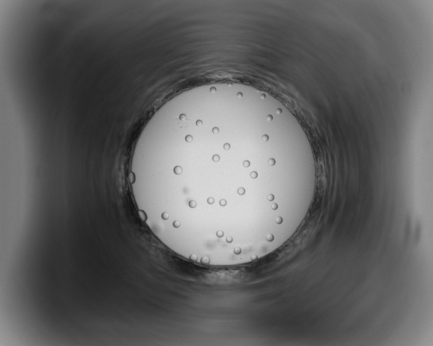 X0000100340422200806051229