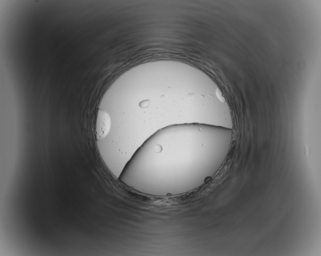 X0000100340423200806051229