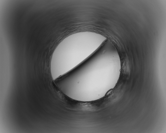 X0000100340424200806051229