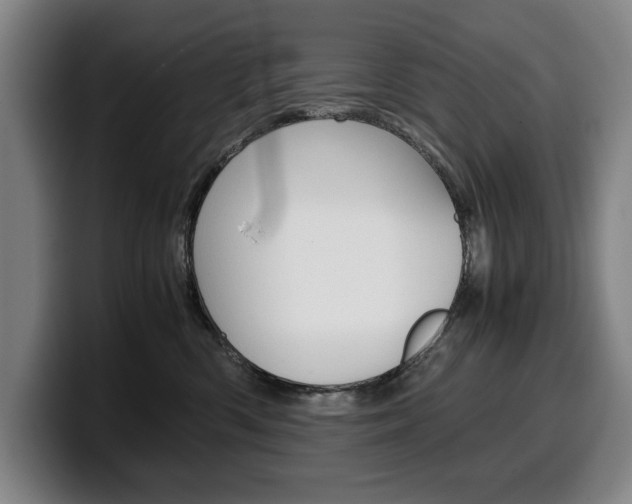 X0000100340426200806051229