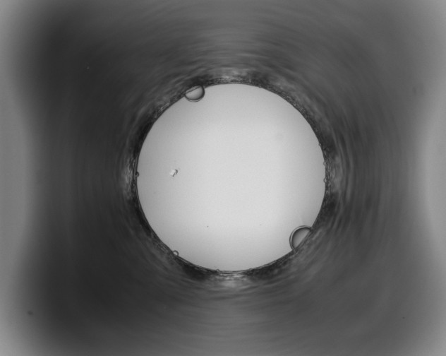 X0000100340427200806051229