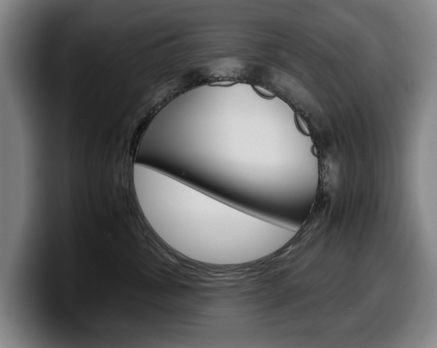 X0000100340428200806051229