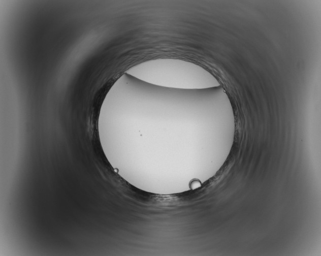 X0000100340429200806051229