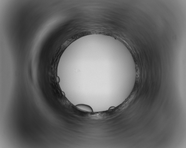 X0000100340430200806051229