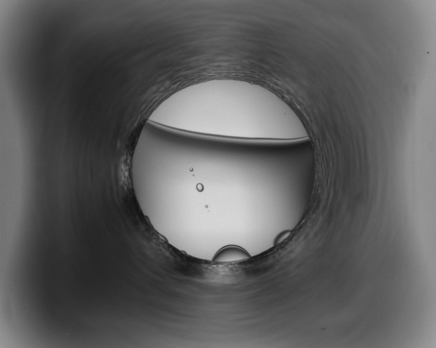 X0000100340432200806051229