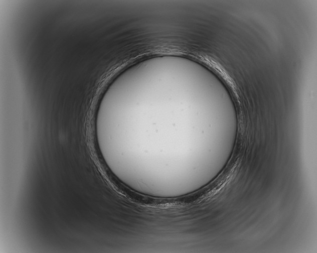 X0000100340433200806051228