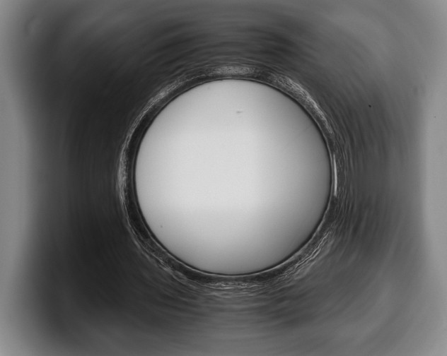 X0000100340435200806051228