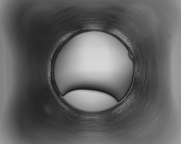 X0000100340437200806051228