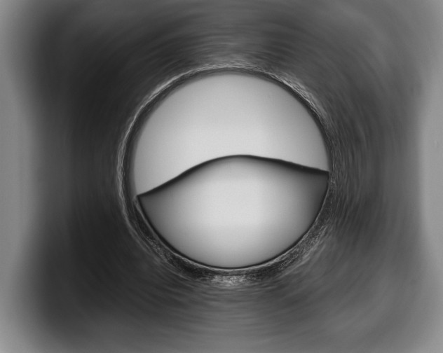 X0000100340440200806051228