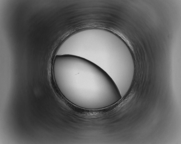 X0000100340445200806051228