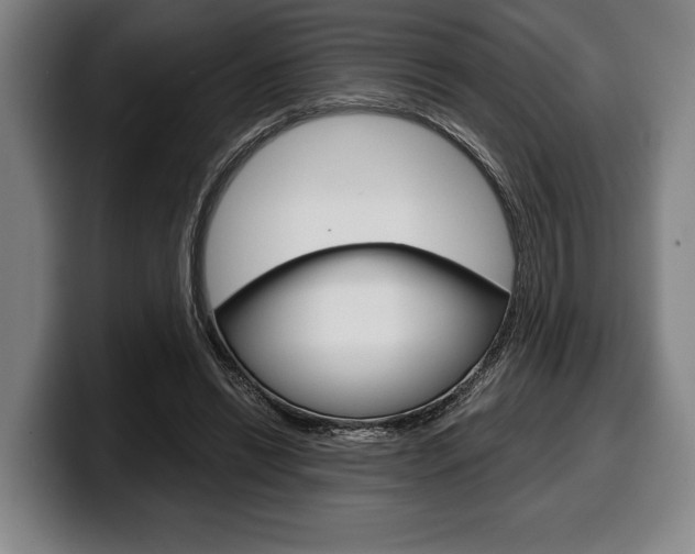 X0000100340446200806051228