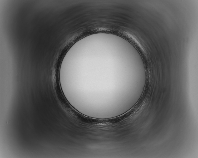 X0000100340447200806051228