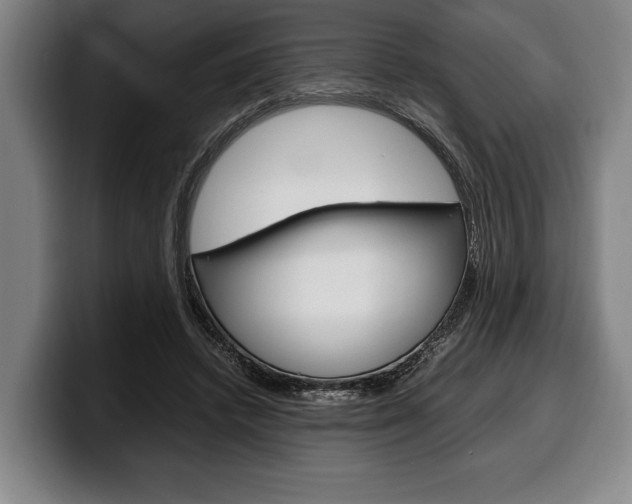 X0000100340448200806051228