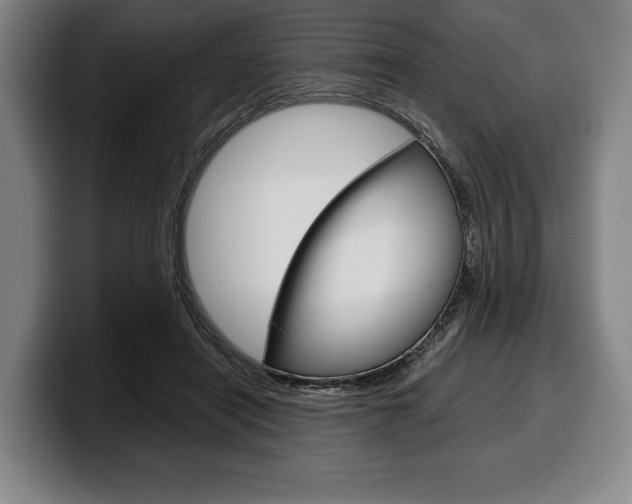 X0000100340454200806051228