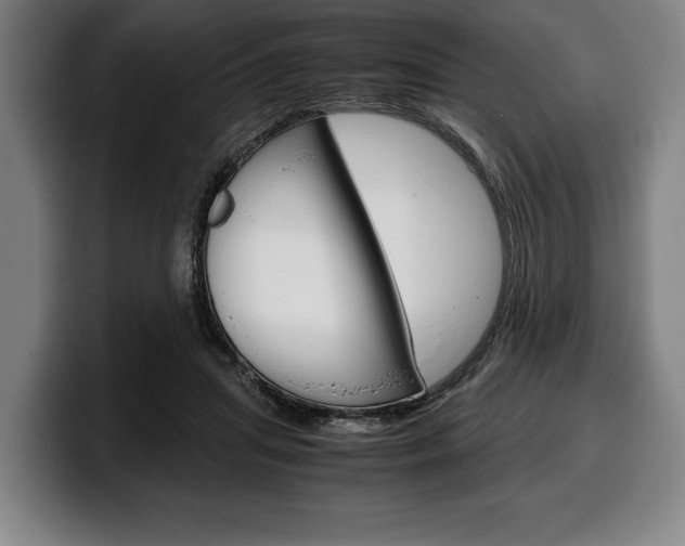 X0000100340455200806051228