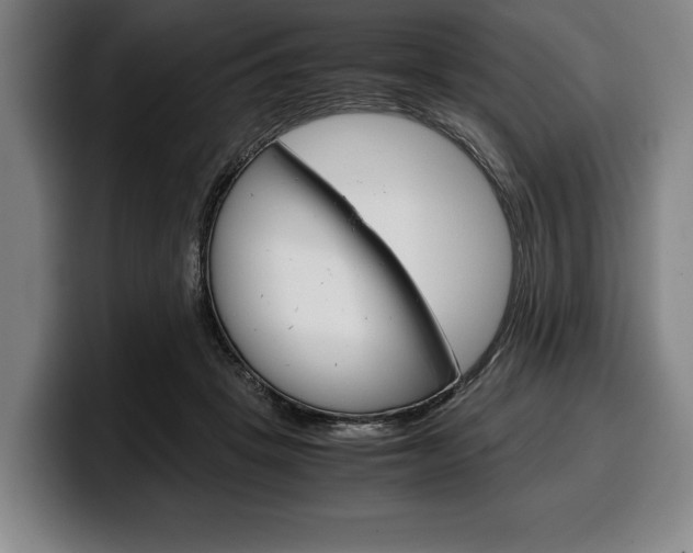 X0000100340457200806051228