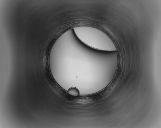 X0000100340459200806051228