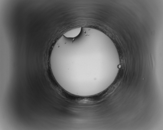 X0000100340460200806051228