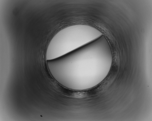 X0000100340461200806051228