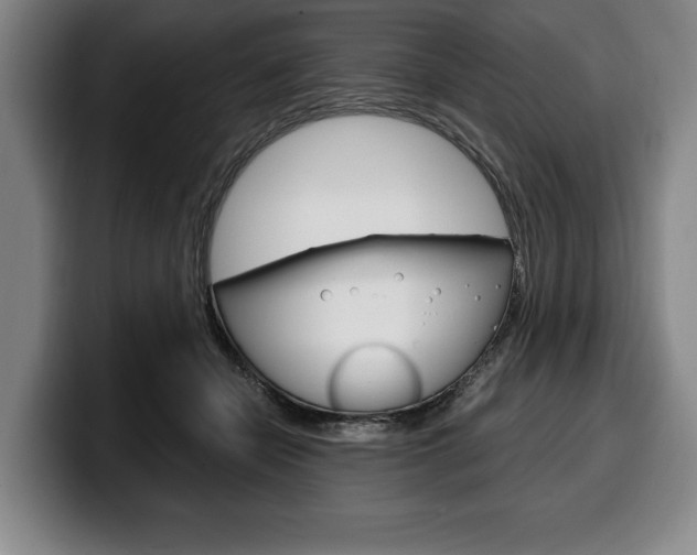 X0000100340462200806051228