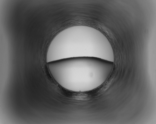X0000100340463200806051228