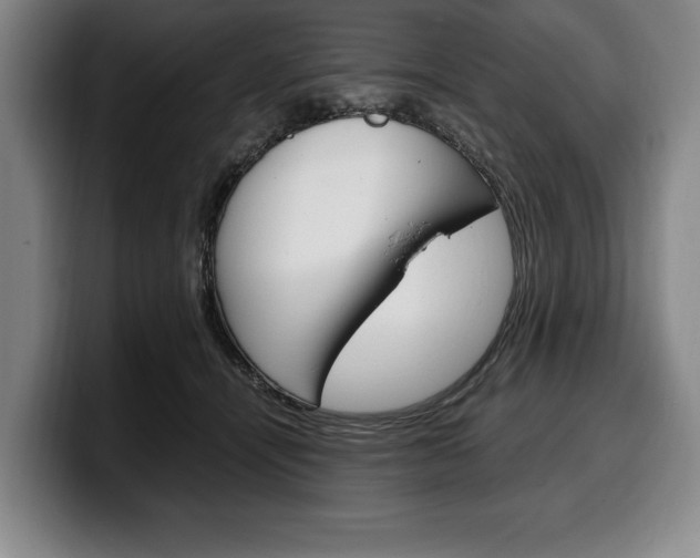 X0000100340464200806051228