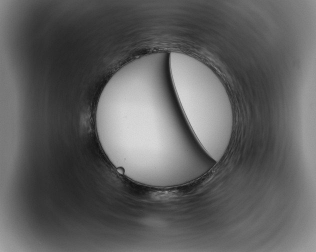 X0000100340465200806051228