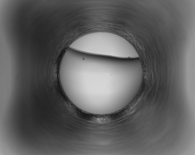 X0000100340466200806051228