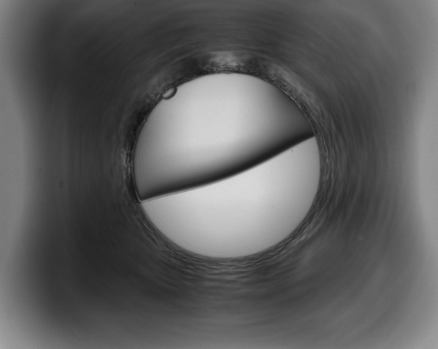 X0000100340467200806051228