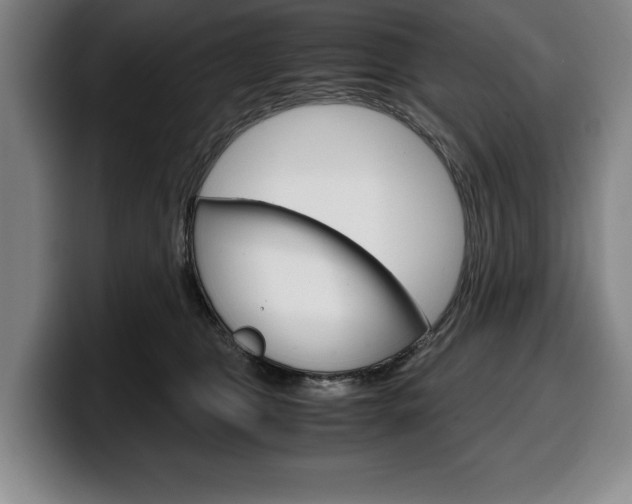 X0000100340469200806051229