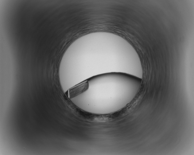 X0000100340470200806051229