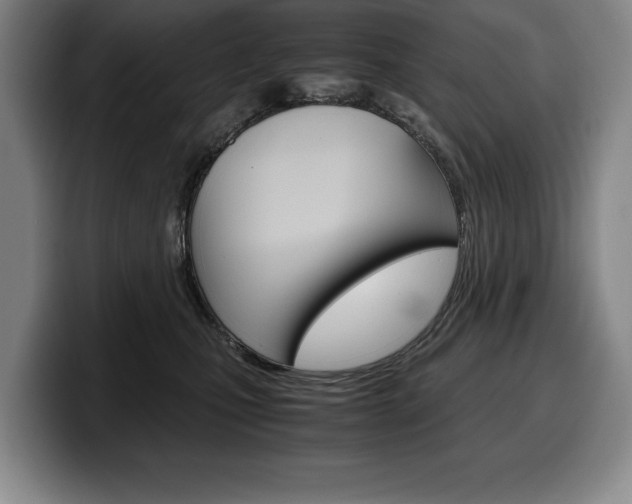 X0000100340471200806051229