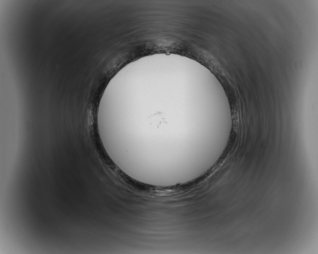 X0000100340472200806051229