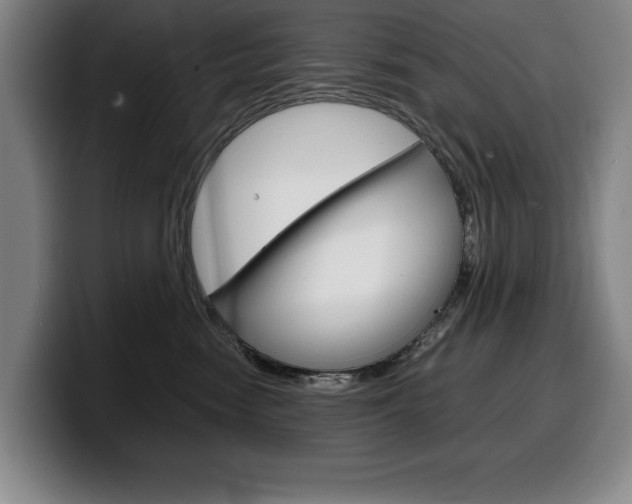 X0000100340474200806051229