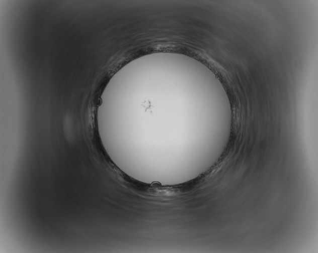 X0000100340475200806051229