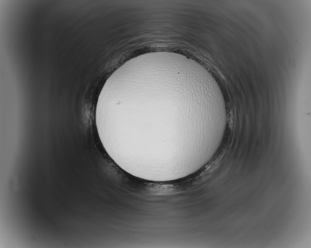 X0000100340476200806051229