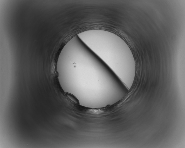 X0000100340477200806051229