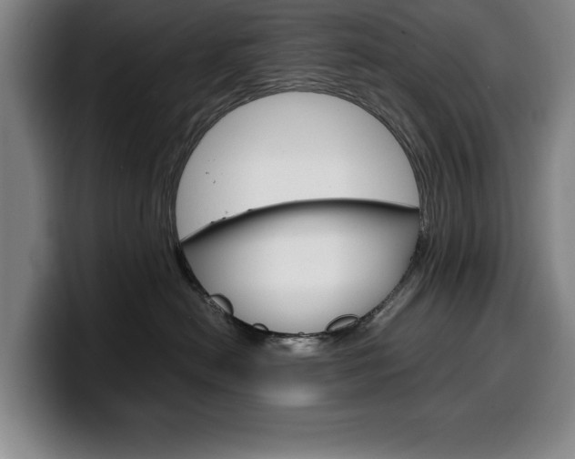 X0000100340478200806051229