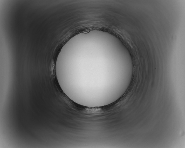 X0000100340480200806051229