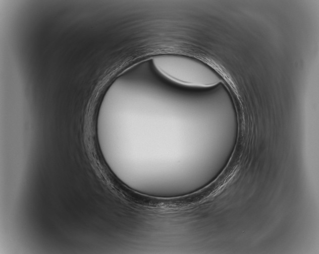 X0000100340481200806051228