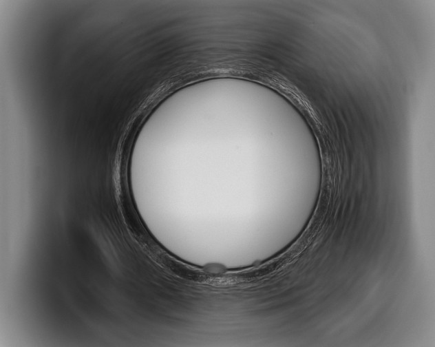 X0000100340482200806051228