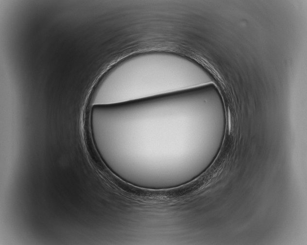 X0000100340483200806051228