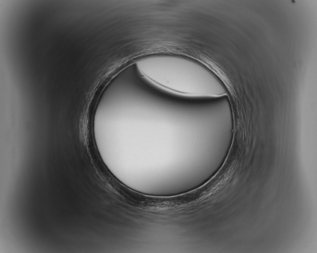 X0000100340485200806051228