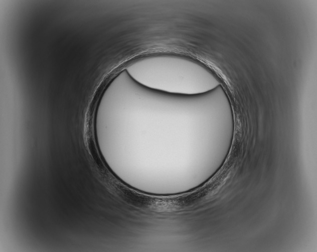 X0000100340487200806051228